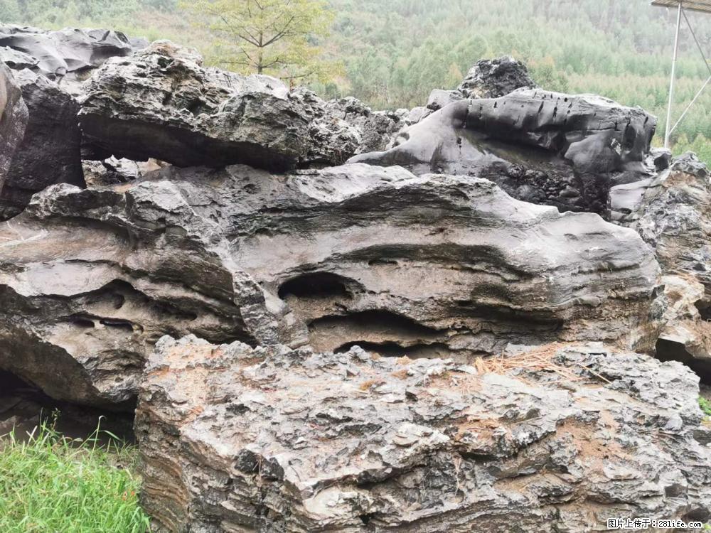 风景石、假山石大量有货,有需要的欢迎联系 - 新手上路 - 娄底生活社区 - 娄底28生活网 ld.28life.com