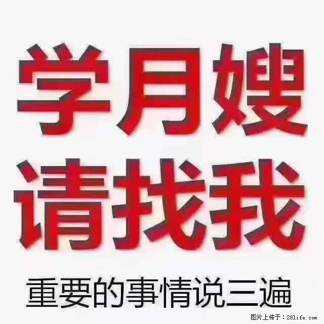 为什么要学习月嫂,育婴师? - 新手上路 - 娄底生活社区 - 娄底28生活网 ld.28life.com
