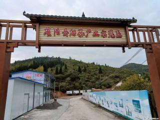 【灌阳县油茶产业示范区】一个有着充实的精神生活的人,对待身外之物自会有一种淡泊的态度 - 娄底28生活网 ld.28life.com