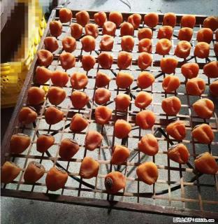 广西桂林平乐桥亭【柿饼之乡】2025年纯手工制作、无任何添加剂的第一批柿饼准备上市了，欢迎联系订购！ - 娄底28生活网 ld.28life.com