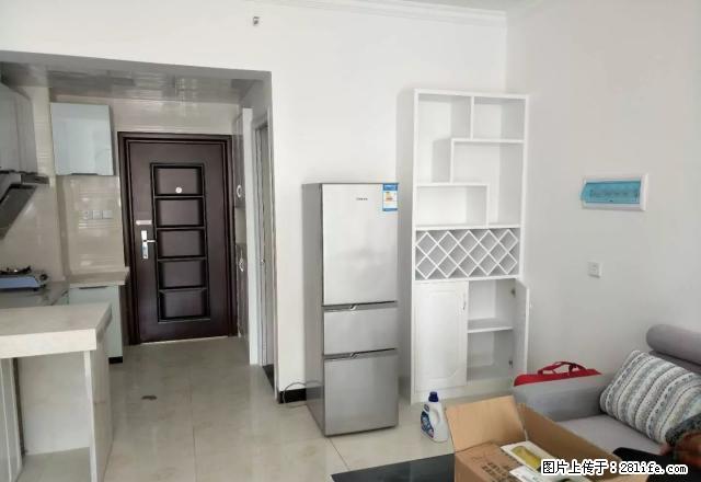 南苑上和,精装公寓房出租,家电齐全,拎包入住。 - 房屋出租 - 房屋租售 - 娄底分类信息 - 娄底28生活网 ld.28life.com