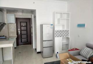 南苑上和,精装公寓房出租,家电齐全,拎包入住。 - 娄底28生活网 ld.28life.com