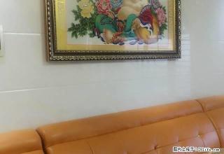 吉星路旁 湾田和悦电力科技园 豪华四房两厅两卫 拎包入住 - 娄底28生活网 ld.28life.com
