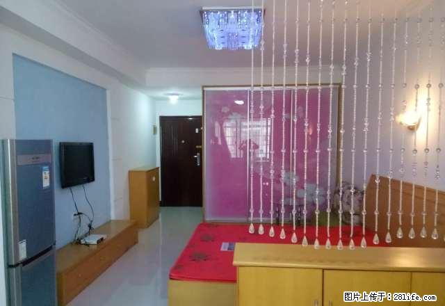 市中心 娄星广场 步行街旁 温馨公寓 自住房出租 - 房屋出租 - 房屋租售 - 娄底分类信息 - 娄底28生活网 ld.28life.com