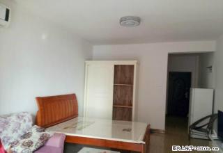 市中心，娄星广场，新概念小区，全新精装公寓优价出租！ - 娄底28生活网 ld.28life.com