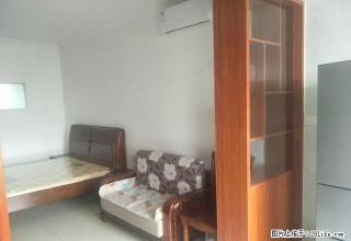 五江碧桂园盛世华庭电梯房 公寓房 全新装修未入住 先到先得 - 娄底28生活网 ld.28life.com