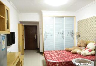 市中心 一中一小 星海名都 家具齐全 精装公寓温馨优价出租！ - 娄底28生活网 ld.28life.com