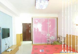 市中心 一中一小 全新家具齐全 精装温馨自住房 拎包入住！ - 娄底28生活网 ld.28life.com