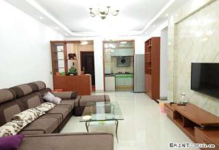 市中心 精装温馨二室一厅 家具齐全 电梯房 小区自住房出租！ - 娄底28生活网 ld.28life.com