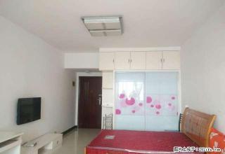 星海名都 一中一小 精装公寓温馨舒适好房 优价出租 750月 - 娄底28生活网 ld.28life.com