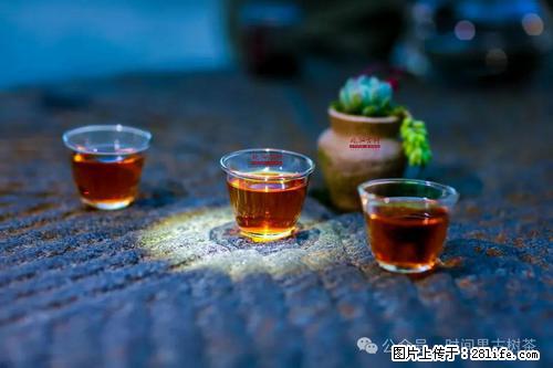 时间果百年古树2025年春红茶 - 购物交流 - 娄底生活社区 - 娄底28生活网 ld.28life.com