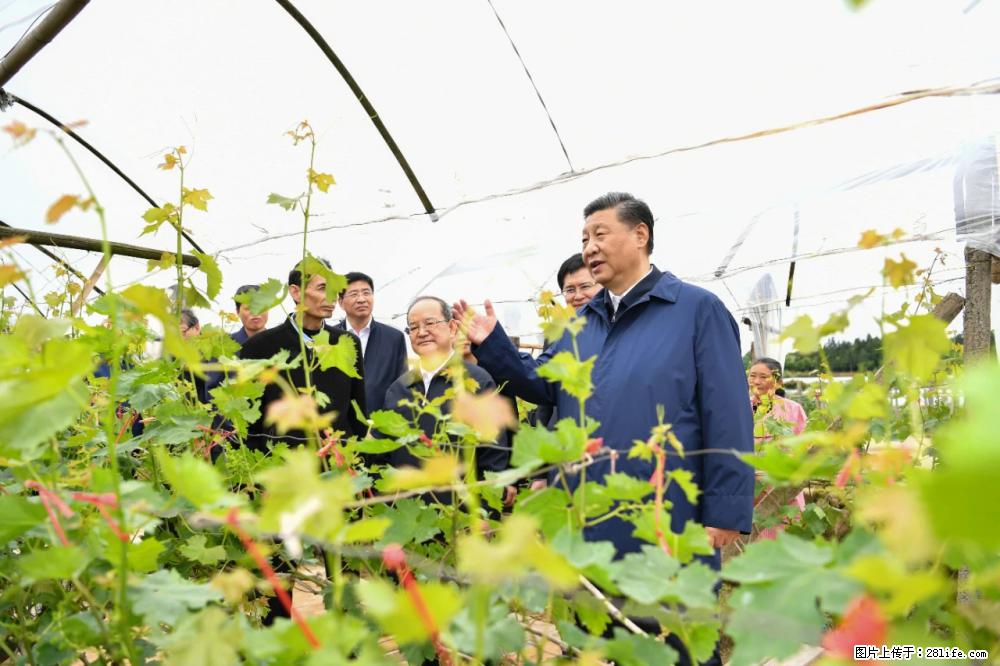 习近平赴广西考察调研 - 娄底生活资讯 - 娄底28生活网 ld.28life.com