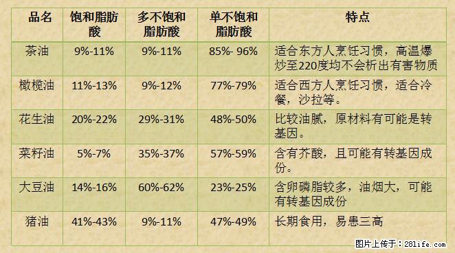 揭秘茶油的5大核心营养成分!被称为人体健康的“守护盾”! - 娄底生活资讯 - 娄底28生活网 ld.28life.com