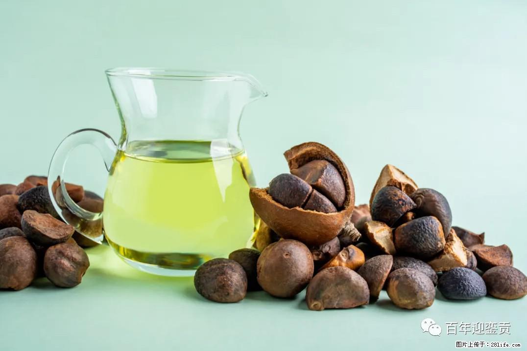 世界没有真相,只有认知,最好的食用油是中国的山茶油! - 娄底生活资讯 - 娄底28生活网 ld.28life.com