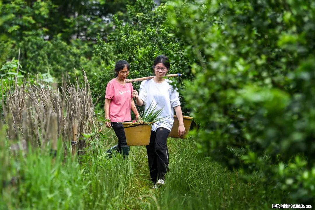 全网追的“扁担女孩”，找了一份暑假工，时薪12元 - 娄底生活资讯 - 娄底28生活网 ld.28life.com