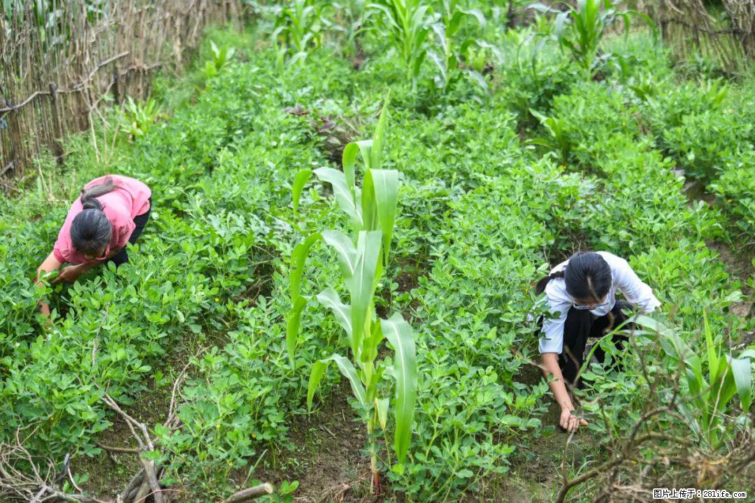 全网追的“扁担女孩”，找了一份暑假工，时薪12元 - 娄底生活资讯 - 娄底28生活网 ld.28life.com