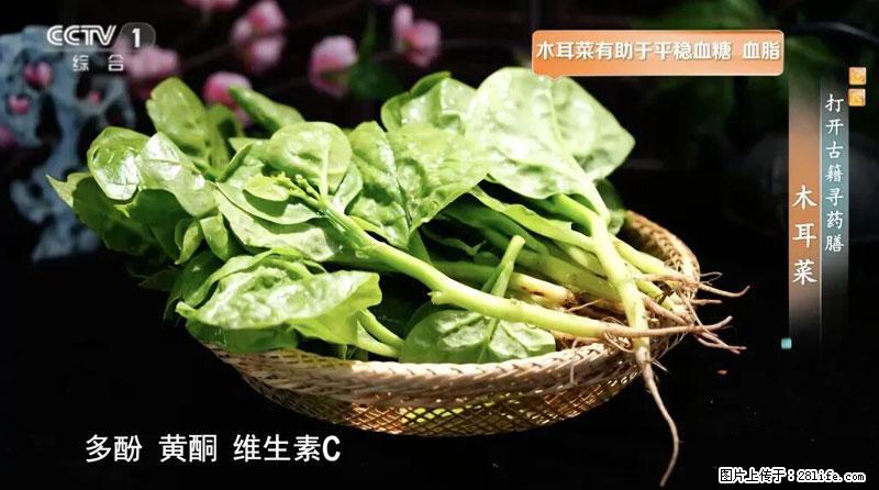 比牛奶补钙还厉害！凉血解毒、稳血糖...这菜冬天必吃，很多人却当草 - 娄底生活资讯 - 娄底28生活网 ld.28life.com