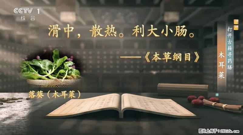 比牛奶补钙还厉害！凉血解毒、稳血糖...这菜冬天必吃，很多人却当草 - 娄底生活资讯 - 娄底28生活网 ld.28life.com