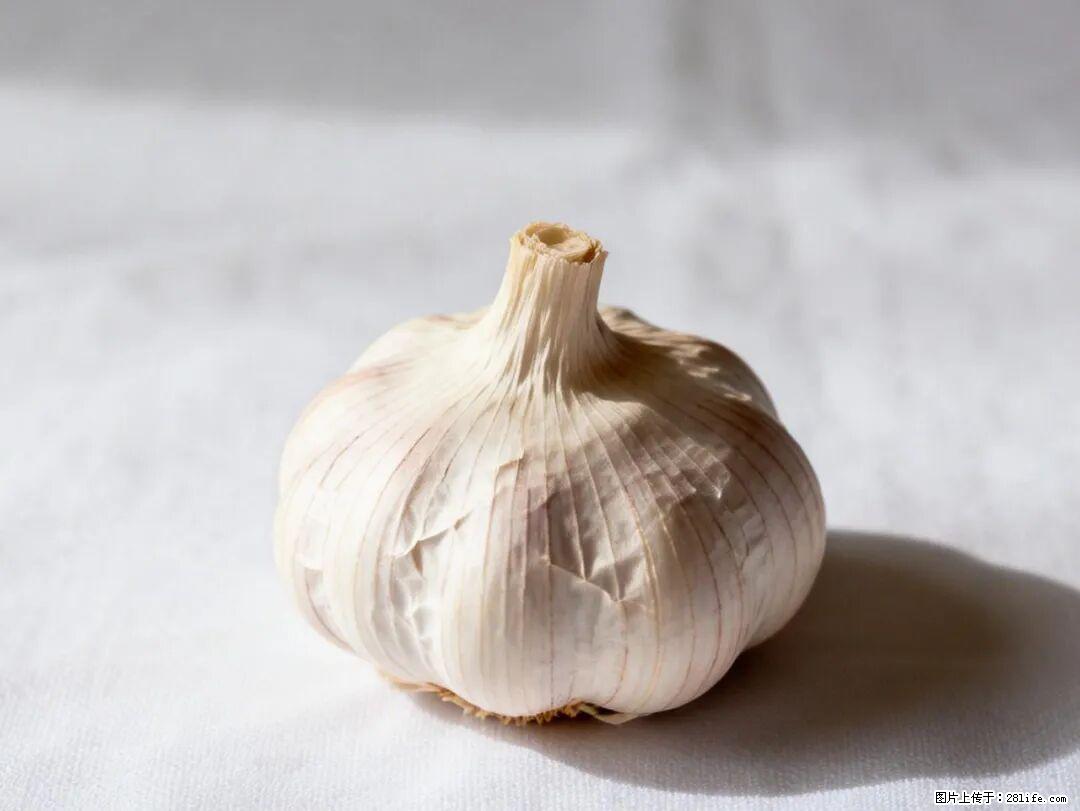 关于大蒜，除了“天然抗生素”，这4个谣言更该警惕! - 娄底生活资讯 - 娄底28生活网 ld.28life.com