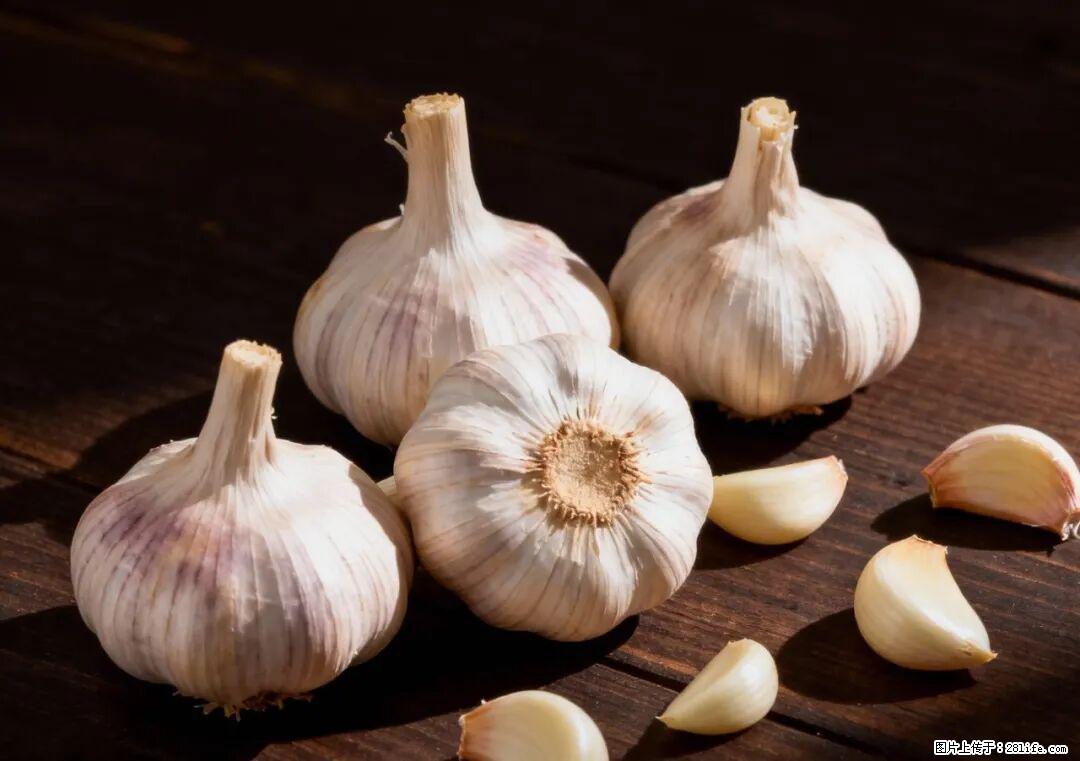 关于大蒜，除了“天然抗生素”，这4个谣言更该警惕! - 娄底生活资讯 - 娄底28生活网 ld.28life.com