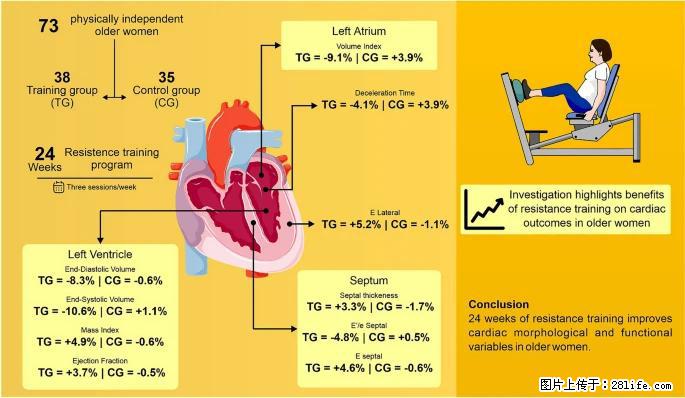 坚持这种运动6个月，心脏有了显著变化！不是跑步，也不是走路 - 娄底生活资讯 - 娄底28生活网 ld.28life.com