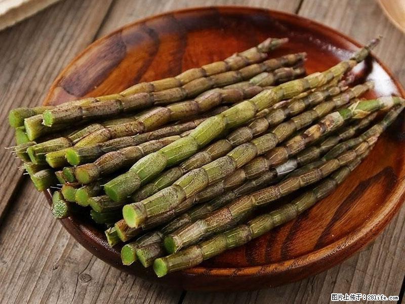 铁皮石斛的作用与功能主治 - 娄底生活资讯 - 娄底28生活网 ld.28life.com