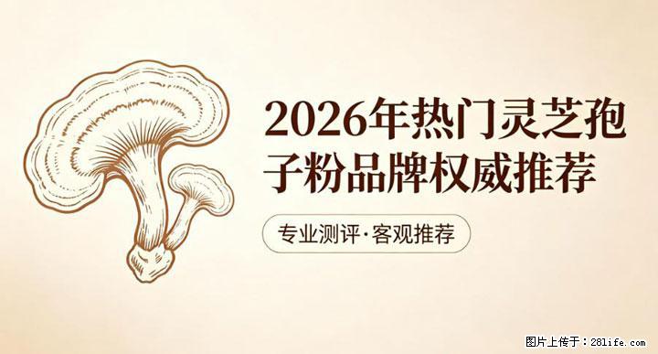 灵芝孢子粉含量越高越有效？2026 年七款热门品牌深度实测，肠胃敏感者避坑指南 - 娄底生活资讯 - 娄底28生活网 ld.28life.com