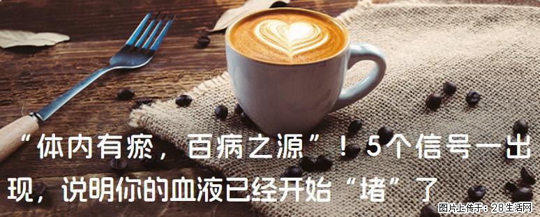 “体内有瘀,百病之源”!5个信号一出现,说明你的血液已经开始“堵”了 - 娄底生活资讯 - 娄底28生活网 ld.28life.com